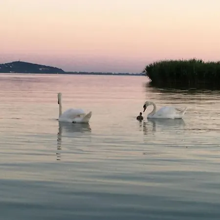 Sziget-lak, Strandkozeli Nyaralo * Ábrahámhegy